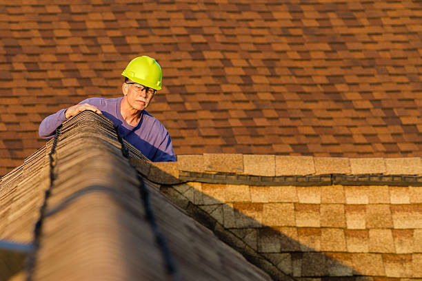 Best Roof Gutter Cleaning  in Junction City, CA