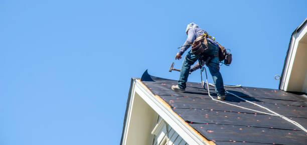 Best Roof Maintenance Services  in Junction City, CA